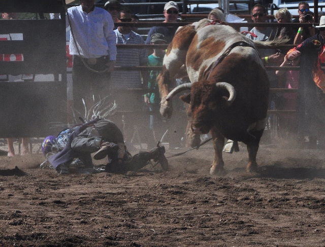 bull riders